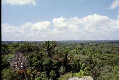 ff000205.jpg