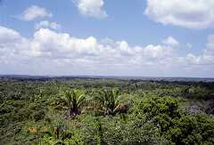 ff000206.jpg