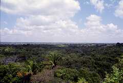 ff000207.jpg