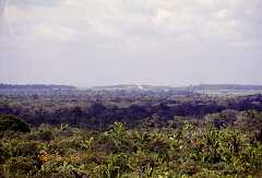 ff000208.jpg