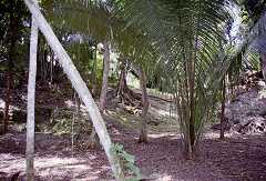 ff000217.jpg