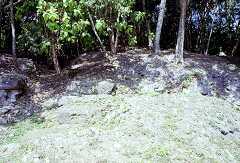 ff000299.jpg