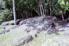 ff000300.jpg