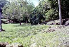 ff000301.jpg