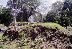 ff000315.jpg