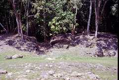 ff000330.jpg