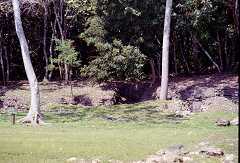 ff000331.jpg