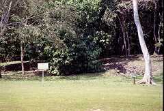 ff000332.jpg