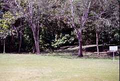 ff000333.jpg