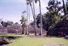 ff000393.jpg