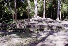 ff000683.jpg
