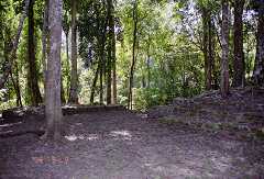 ff000685.jpg