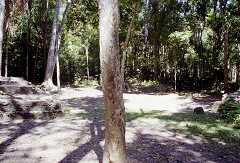 ff000689.jpg