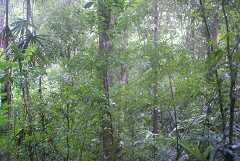fg000031.jpg