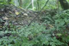 fg000043.jpg