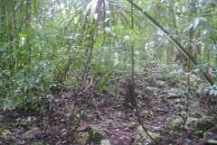 fg000049.jpg