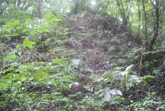 fg000055.jpg