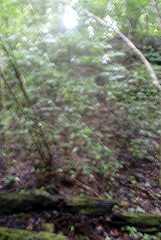 fg000059.jpg
