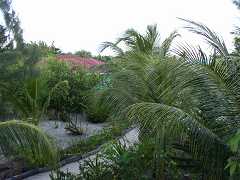 od000175.jpg