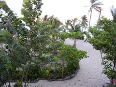 od000177.jpg